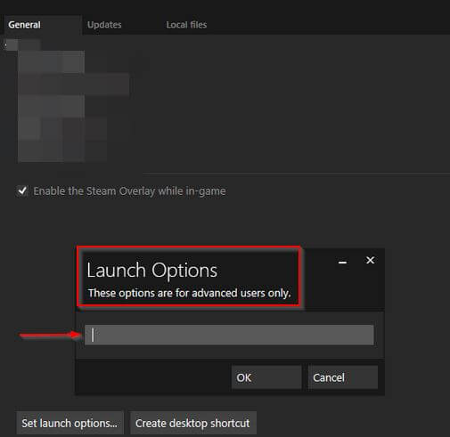 Steam Launch options